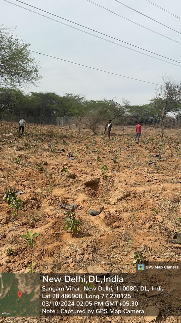 Compensatory Afforestation